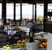 Horse Country Resort Congress & SPA Arborea
